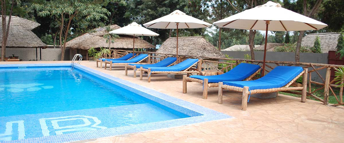 Honey Badger Lodge Honey Badger Lodge