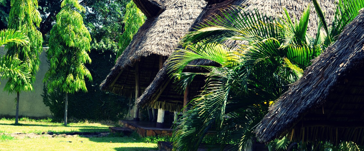 Honey Badger Lodge Honey Badger Lodge